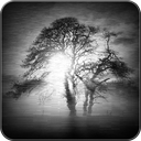 Distorted Video & Image