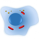 Cell Biology-101