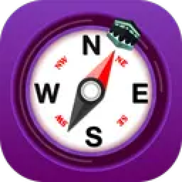 قبله نما حرفه ای