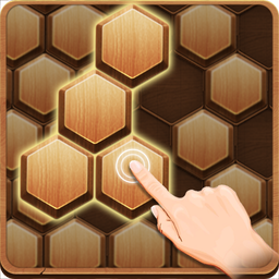 Wood Block Hexagon