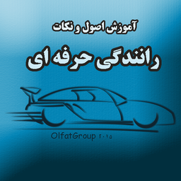 رانندگی حرفه ای