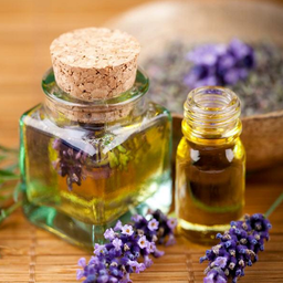 گیاهان دارویی مفید در بیماری ها