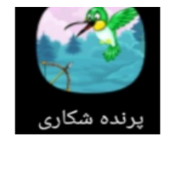پرنده شکاری