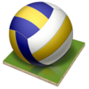 Volleyball Online