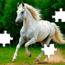 Jigsaw Puzzles: Jigsawgram