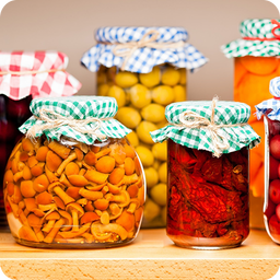 انواع ترشیجات