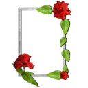 Floral photo Frames