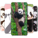 Cute Panda Wallpaper