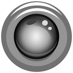 IP Webcam