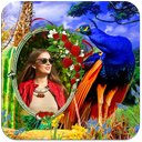 Peacock Photo Frames HD