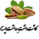 از کاشت تا برداشت(پسته)