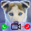 Fake call from Dog