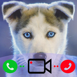 Fake Call From Dog