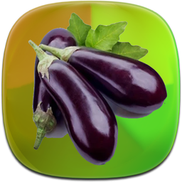آموزش آشپزی با بادمجان
