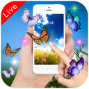 Butterfly Live Wallpaper 2023