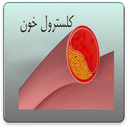 راهنمای کلسترول خون