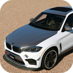 Drive BMW X6 M SUV City Racer