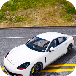 Drive Panamera Porsche - City