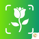 Plant Identifier - Plant Check
