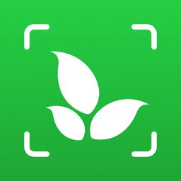 Plant Identifier App Plantiary