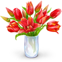 گیاهان آپارتمانی