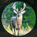 Deer Hunting Games Wild Animal