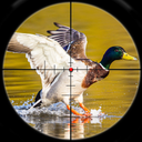 Birds Hunting Game: Hunting Game Sniper Shooter 20