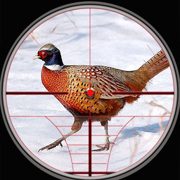 Pheasant Birds Hunting Games