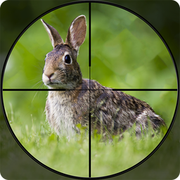 Rabbit Hunting Bow Games