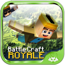 Battle Craft Royale