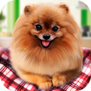 Pure Breed Miniature Dog Life Sim