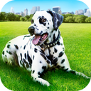 Dalmatian Dog Pet Life Sim 3D