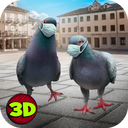 City Bird Pigeon Simulator 3D
