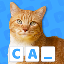 Word Pics: Trivia Puzzles