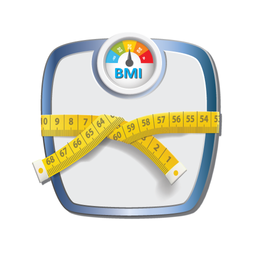 BMI Calculator & Weight Loss T