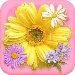 Pressed Flower Master