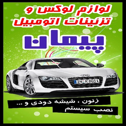 تزئینات+برق+دزدگیر