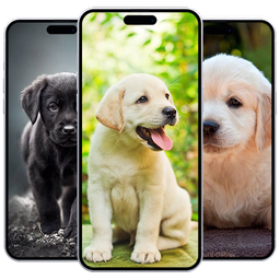 Puppy Wallpaper