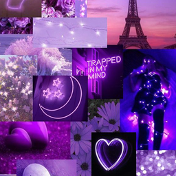 Purple Wallpaper