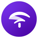 وای فای (وای فاند)