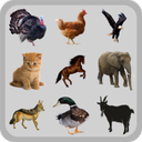 Animal Sounds
