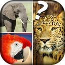 Quiz Me - What Animal Am I?