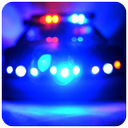 Police Light and Siren Prank