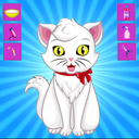 Jungle Animal Beauty Saloon