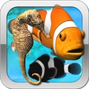 Fish Farm