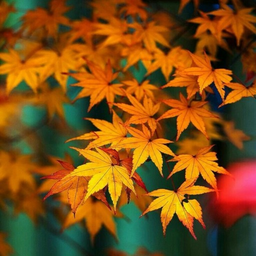 تصویر زمینه منظره