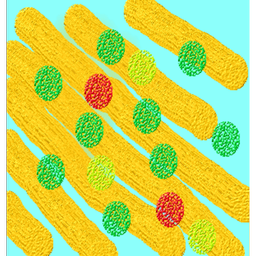 لشگری ریاضی(96) نهم فصل معادله خط