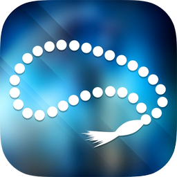 Electronic tasbih