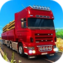 Simulator Real Truck Driving