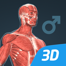 Internal Organs in 3D Anatomy for Android - Download